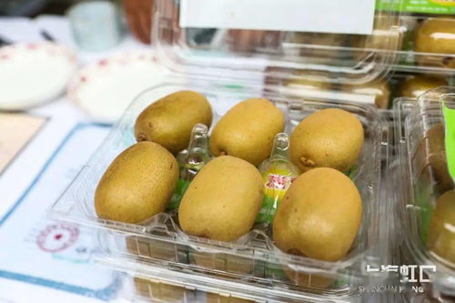 助力脫貧攻堅，品味地道風物——魯迅公園特色農產品直銷活動正式啟動