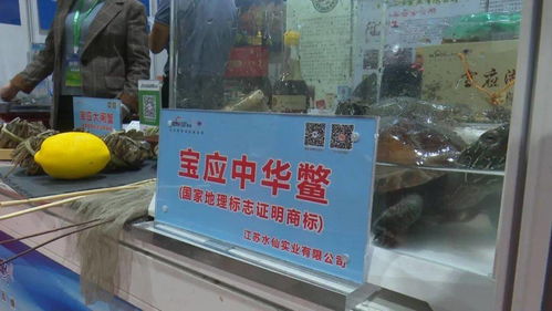 寶應3企業優質農產品亮相江蘇農展會，上海市民競相“打call”
